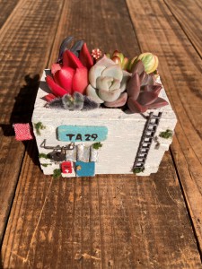 多肉のプランター作りと寄せ植え体験