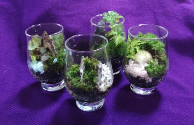 緑の小宇宙”苔テラリウム”を作ろう