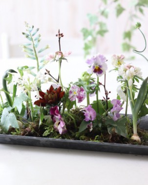 春感じる球根植物を使ってアレンジ