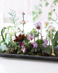 春感じる球根植物を使ってアレンジ